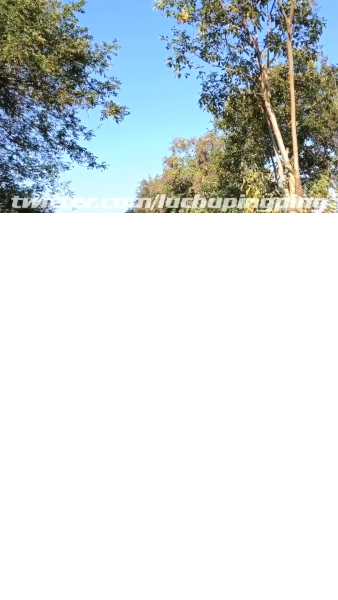 萍萍露出 大合集[70V+视频约13.2GB]